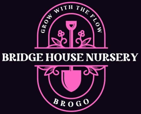 bhnb.com.au